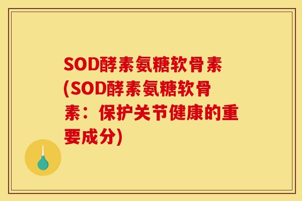 SOD酵素氨糖软骨素(SOD酵素氨糖软骨素：保护关节健康的重要成分)