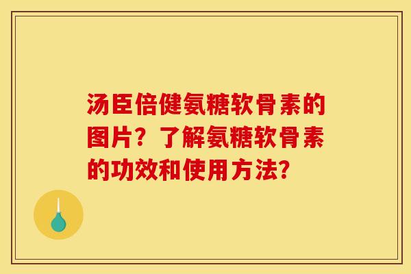 汤臣倍健氨糖软骨素的图片？了解氨糖软骨素的功效和使用方法？