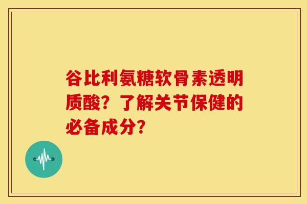 谷比利氨糖软骨素透明质酸？了解关节保健的必备成分？