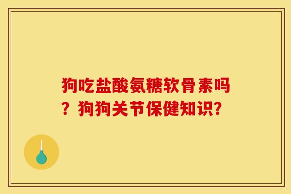 狗吃盐酸氨糖软骨素吗？狗狗关节保健知识？