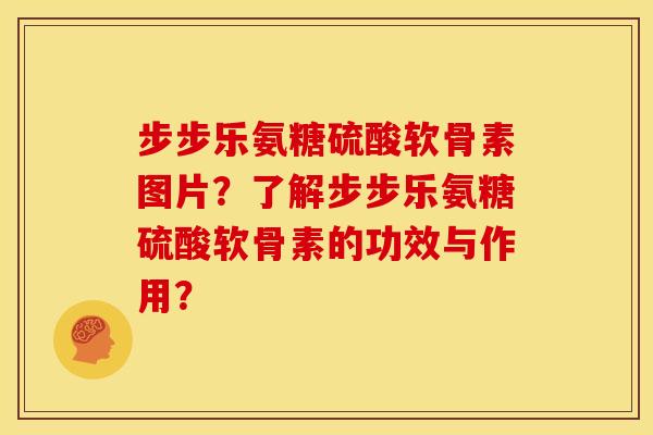步步乐氨糖硫酸软骨素图片？了解步步乐氨糖硫酸软骨素的功效与作用？