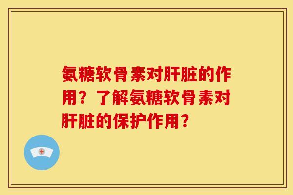 氨糖软骨素对肝脏的作用？了解氨糖软骨素对肝脏的保护作用？-第1张图片-关节骑士