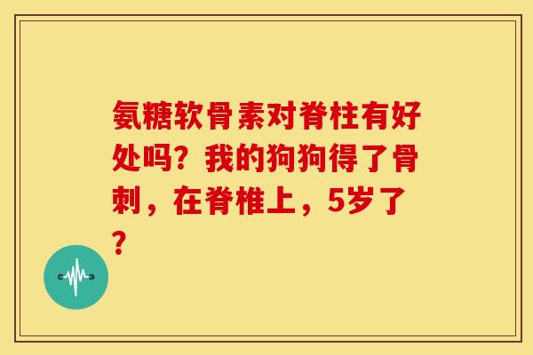 氨糖软骨素对脊柱有好处吗？我的狗狗得了骨刺，在脊椎上，5岁了？-第1张图片-关节骑士