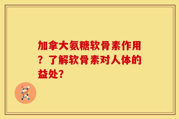 加拿大氨糖软骨素作用？了解软骨素对人体的益处？