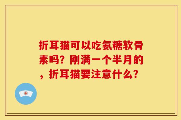 折耳猫可以吃氨糖软骨素吗？刚满一个半月的，折耳猫要注意什么？