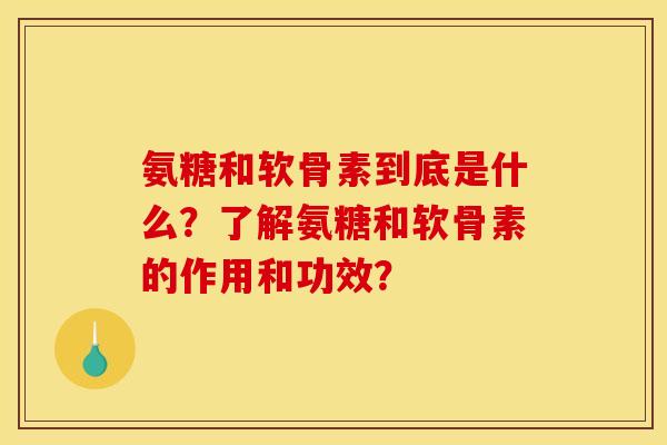 氨糖和软骨素到底是什么？了解氨糖和软骨素的作用和功效？