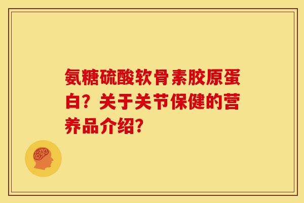 氨糖硫酸软骨素胶原蛋白？关于关节保健的营养品介绍？