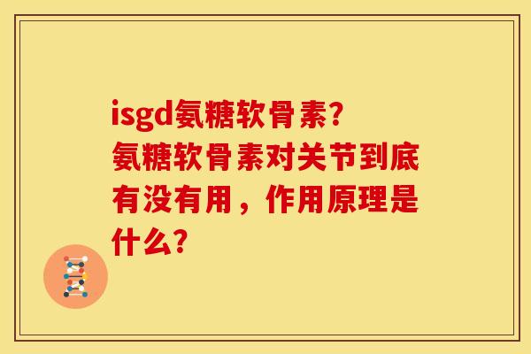 isgd氨糖软骨素？氨糖软骨素对关节到底有没有用，作用原理是什么？