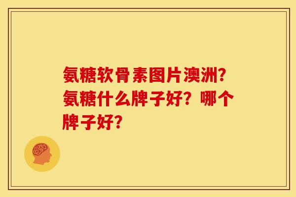 氨糖软骨素图片澳洲？氨糖什么牌子好？哪个牌子好？