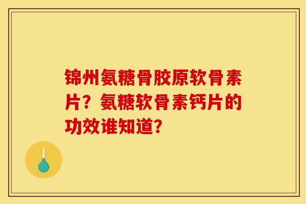 锦州氨糖骨胶原软骨素片？氨糖软骨素钙片的功效谁知道？