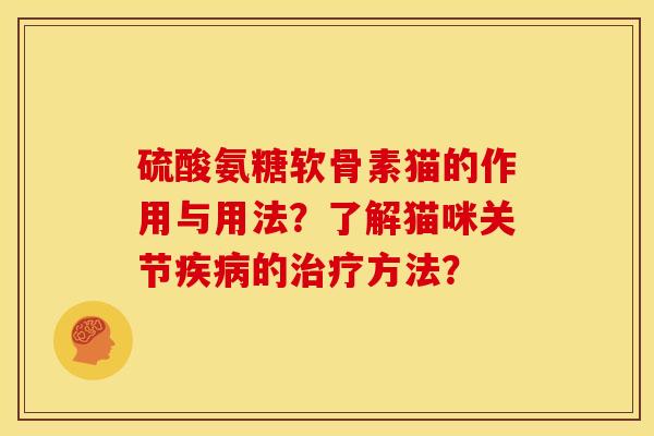 硫酸氨糖软骨素猫的作用与用法？了解猫咪关节疾病的治疗方法？-第1张图片-关节骑士
