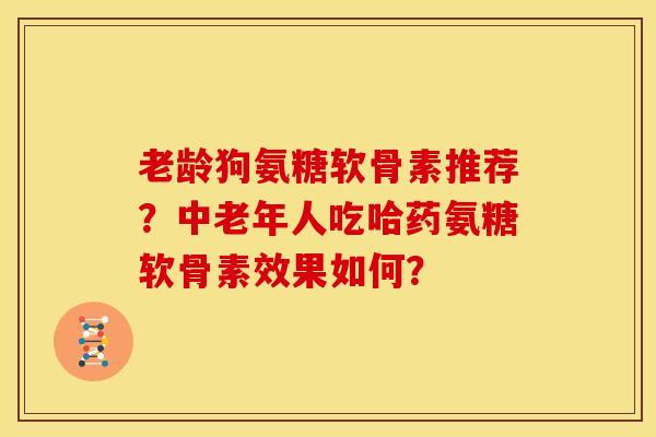 老龄狗氨糖软骨素推荐？中老年人吃哈药氨糖软骨素效果如何？