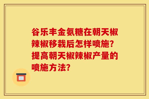 谷乐丰金氨糖在朝天椒辣椒移栽后怎样喷施？提高朝天椒辣椒产量的喷施方法？