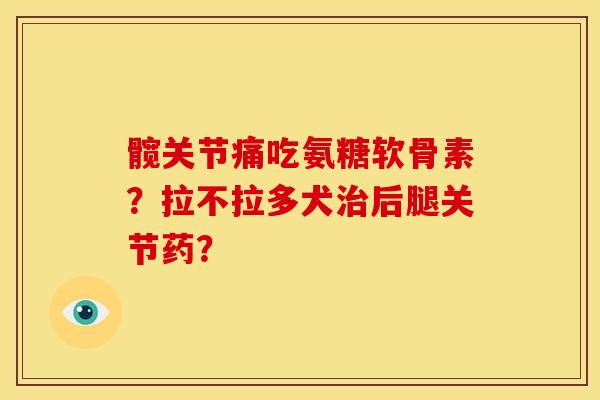 髋关节痛吃氨糖软骨素？拉不拉多犬治后腿关节药？