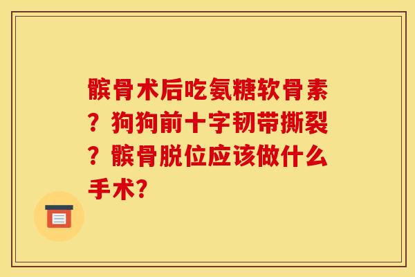 髌骨术后吃氨糖软骨素？狗狗前十字韧带撕裂？髌骨脱位应该做什么手术？-第1张图片-关节骑士