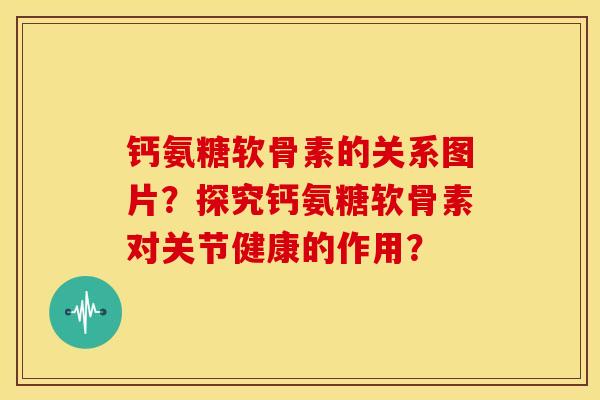钙氨糖软骨素的关系图片？探究钙氨糖软骨素对关节健康的作用？