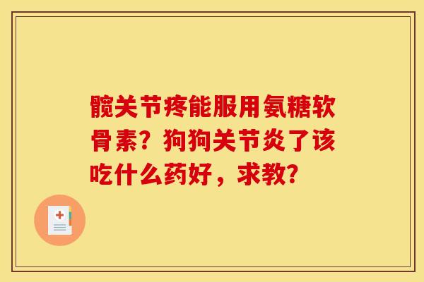 髋关节疼能服用氨糖软骨素？狗狗关节炎了该吃什么药好，求教？-第1张图片-关节骑士
