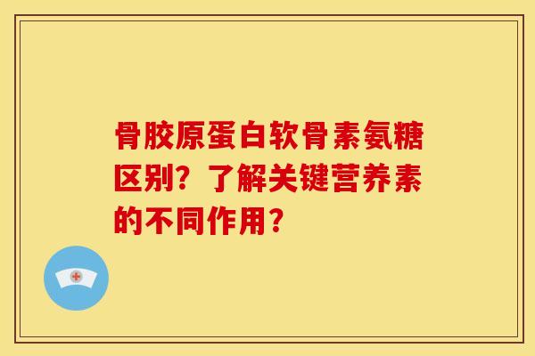 骨胶原蛋白软骨素氨糖区别?了解关键营养素的不同作用?-第1张图片-关节骑士 骨胶原蛋白软骨素氨糖区别?了解关键营养素的不同作用?-第1张图片-关节骑士