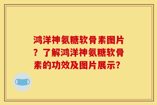 鸿洋神氨糖软骨素图片？了解鸿洋神氨糖软骨素的功效及图片展示？