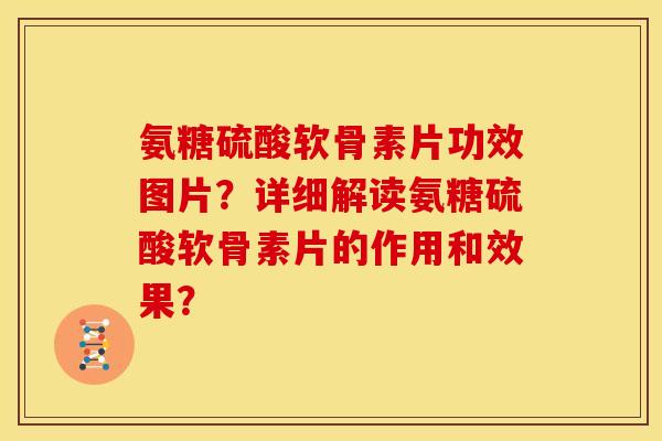 氨糖硫酸软骨素片功效图片？详细解读氨糖硫酸软骨素片的作用和效果？-第1张图片-关节骑士
