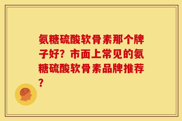 氨糖硫酸软骨素那个牌子好？市面上常见的氨糖硫酸软骨素品牌推荐？-第1张图片-关节骑士