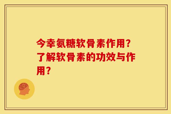 今幸氨糖软骨素作用？了解软骨素的功效与作用？