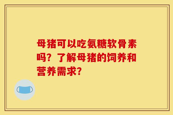 母猪可以吃氨糖软骨素吗？了解母猪的饲养和营养需求？