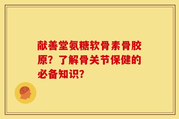 献善堂氨糖软骨素骨胶原？了解骨关节保健的必备知识？-第1张图片-关节骑士