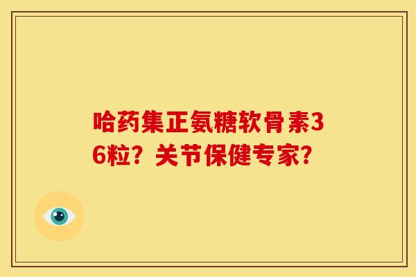 哈药集正氨糖软骨素36粒？关节保健专家？