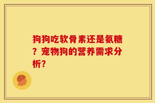 狗狗吃软骨素还是氨糖？宠物狗的营养需求分析？