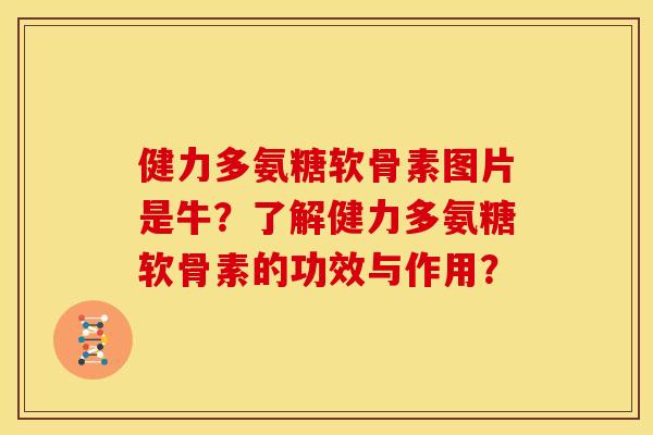 健力多氨糖软骨素图片是牛？了解健力多氨糖软骨素的功效与作用？