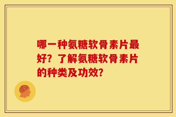 哪一种氨糖软骨素片最好？了解氨糖软骨素片的种类及功效？