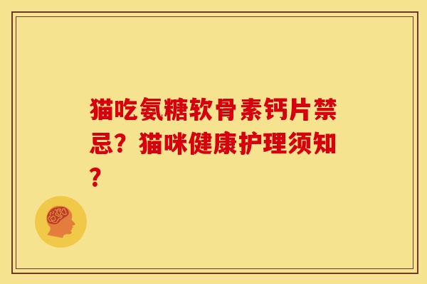 猫吃氨糖软骨素钙片禁忌?猫咪健康护理须知?-第1张图片-关节骑士 猫吃氨糖软骨素钙片禁忌?猫咪健康护理须知?-第1张图片-关节骑士