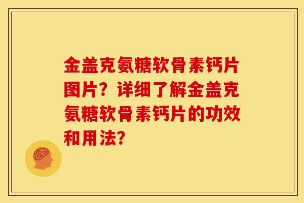 金盖克氨糖软骨素钙片图片？详细了解金盖克氨糖软骨素钙片的功效和用法？-第1张图片-关节骑士