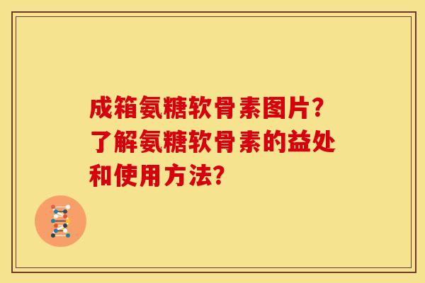 成箱氨糖软骨素图片?了解氨糖软骨素的益处和使用方法?-第1张图片-关节骑士 成箱氨糖软骨素图片?了解氨糖软骨素的益处和使用方法?-第1张图片-关节骑士