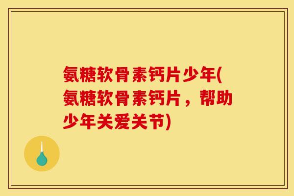 氨糖软骨素钙片少年(氨糖软骨素钙片，帮助少年关爱关节)