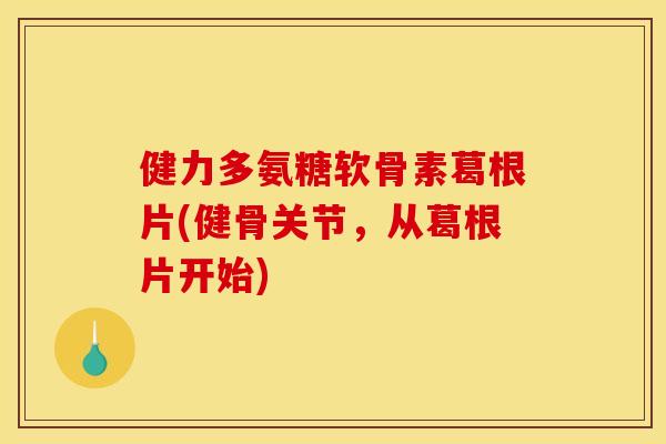 健力多氨糖软骨素葛根片(健骨关节，从葛根片开始)