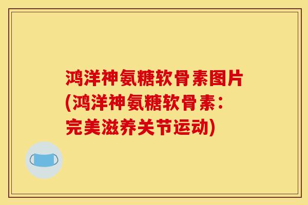 鸿洋神氨糖软骨素图片(鸿洋神氨糖软骨素：完美滋养关节运动)