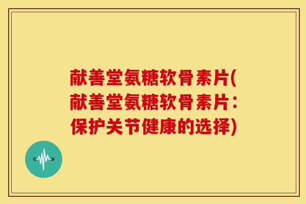 献善堂氨糖软骨素片(献善堂氨糖软骨素片：保护关节健康的选择)