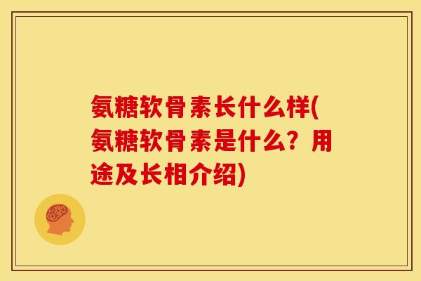 氨糖软骨素长什么样(氨糖软骨素是什么？用途及长相介绍)-第1张图片-关节骑士