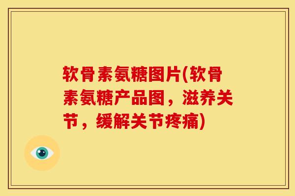 软骨素氨糖图片(软骨素氨糖产品图，滋养关节，缓解关节疼痛)-第1张图片-关节骑士
