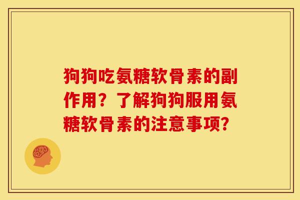 狗狗吃氨糖软骨素的副作用？了解狗狗服用氨糖软骨素的注意事项？