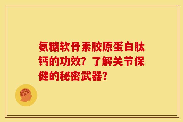 氨糖软骨素胶原蛋白肽钙的功效？了解关节保健的秘密武器？