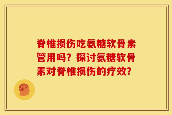 脊椎损伤吃氨糖软骨素管用吗？探讨氨糖软骨素对脊椎损伤的疗效？