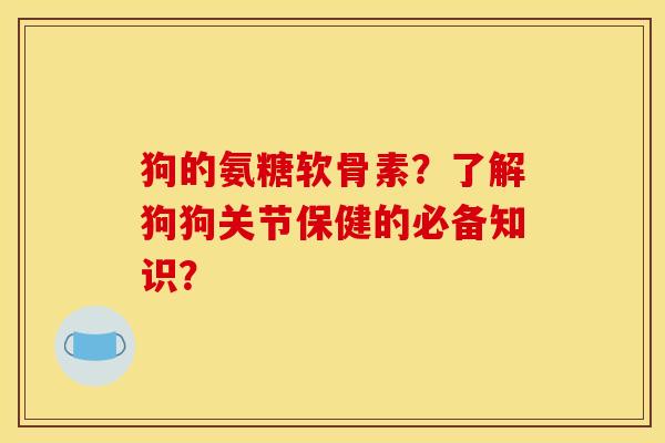 狗的氨糖软骨素？了解狗狗关节保健的必备知识？