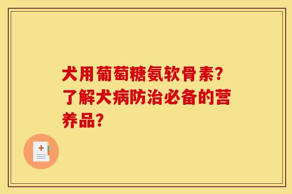 犬用葡萄糖氨软骨素?了解犬病防治必备的营养品?-第1张图片-关节骑士 犬用葡萄糖氨软骨素?了解犬病防治必备的营养品?-第1张图片-关节骑士