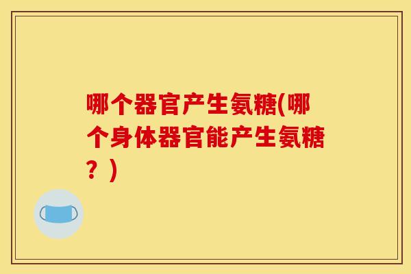 哪个器官产生氨糖(哪个身体器官能产生氨糖？)