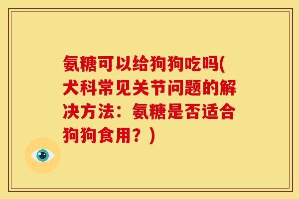 氨糖可以给狗狗吃吗(犬科常见关节问题的解决方法：氨糖是否适合狗狗食用？)