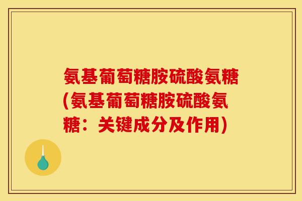 氨基葡萄糖胺硫酸氨糖(氨基葡萄糖胺硫酸氨糖：关键成分及作用)
