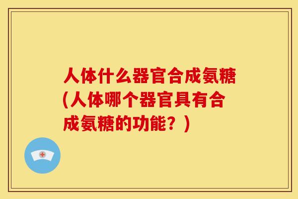 人体什么器官合成氨糖(人体哪个器官具有合成氨糖的功能？)